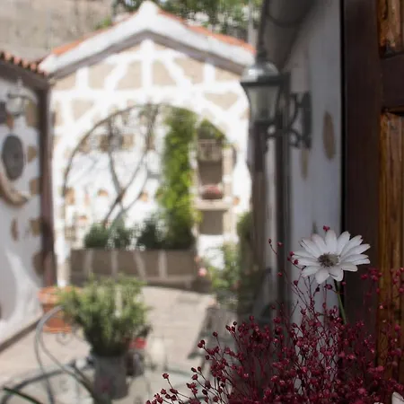 Casa El Pino * Vilaflor de Chasna