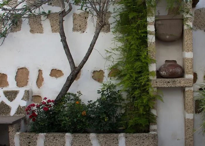 Tatil Evi Casa El Pino Vilaflor