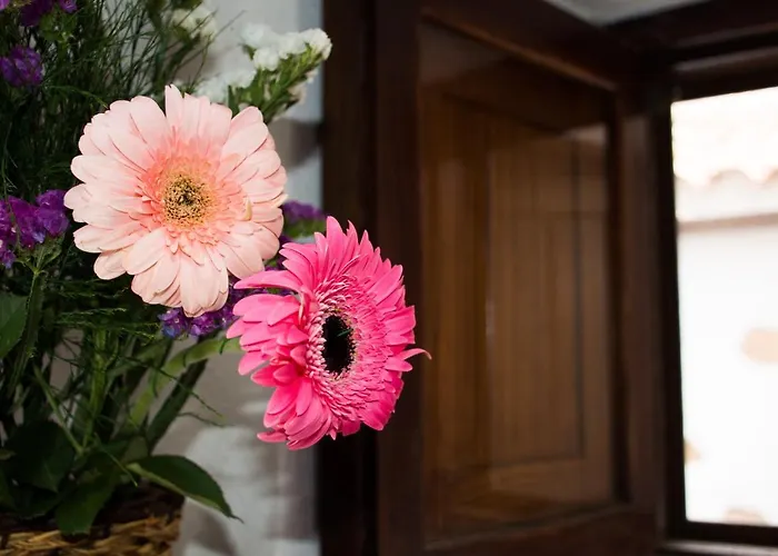 Tatil Evi Casa El Pino