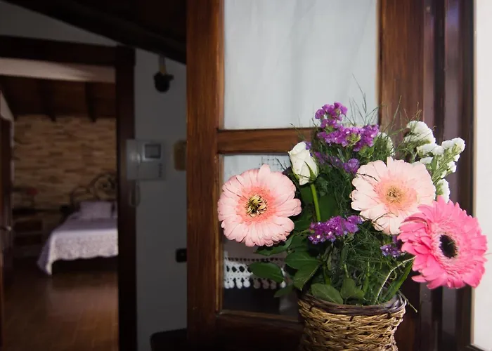 Hébergement de vacances Casa El Pino *